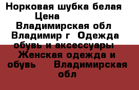 Норковая шубка белая › Цена ­ 25 000 - Владимирская обл., Владимир г. Одежда, обувь и аксессуары » Женская одежда и обувь   . Владимирская обл.